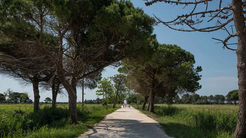Lino_delle_Fate.Landschaft.Bild.Europa-Tourist-Group.NEU Lino delle Fate - Landschaft und Umgebung