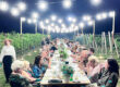 MASI - Green Party Dinner in the vineyard Bild: Trips4kids.de