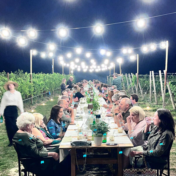MASI_Green_Party_Dinner.Bild.Trips4kids.de.6 MASI - Green Party Dinner in the vineyard Bild: Trips4kids.de