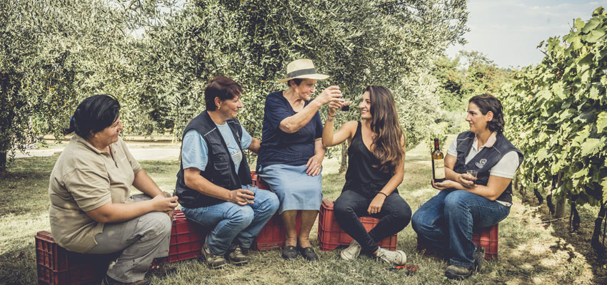 Miriam_Lee_Masciarelli_Weinlese_Weinberg_©_Masciarelli_Tenute_Agricole Miriam_Lee_Masciarelli_Weinlese_Weinberg_©_Masciarelli_Tenute_Agricole
