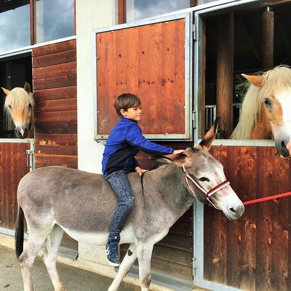Moesslacherhof-Kind-Pferde- Kind beim Pferdestall- Moesslacherhof © Foto: Nussin Armbrust