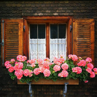 Montafoner_Hausweg_Fenster.Bild.N.Sorgenfrei.1 Montafoner Hausweg Fenster mit Geranien