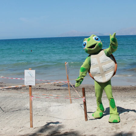 Neptune-Luxury-Resort_Wasserschildkroeten-Nest-2024-(3)