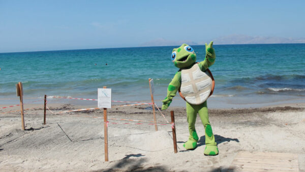 Neptune-Luxury-Resort_Wasserschildkroeten-Nest-2024-(3)