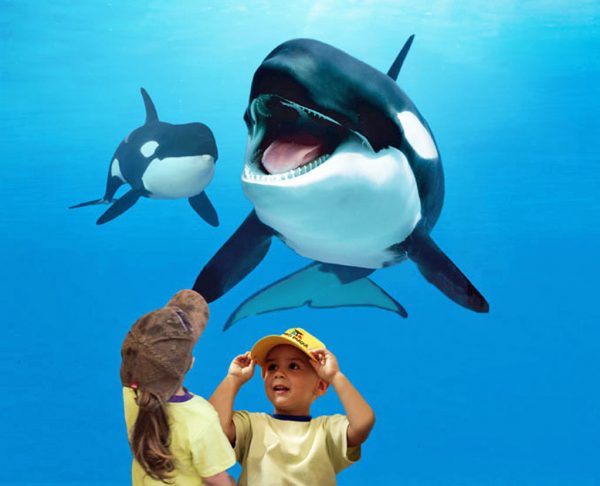 Orcas_Loro-Parque