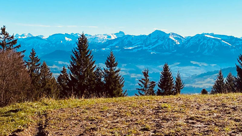 Pfaender_Ausblick.Bild.T4K.quer Pfaender - Ausblick