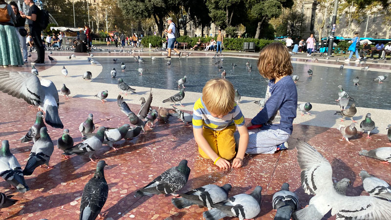 Kids u. Tauben - Plaça de Catalunya Kids u. Tauben - Plaça de Catalunya Foto: © Aline Scheuböck Trips4Kids.de