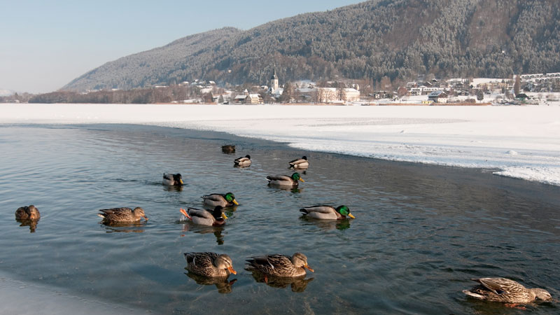 Region-Villach-Tourismus_Winterlandschaft_Ossiacher-See-1_Adrian-Hipp