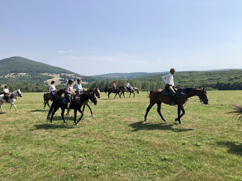 Reiten in Rumaenien - Ausritt mit der Gruppe