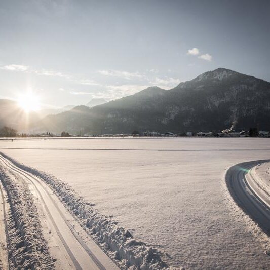 resized_erl-winter-2Âcvanmeyphotography resized_erl-winter-2Âcvanmeyphotography
