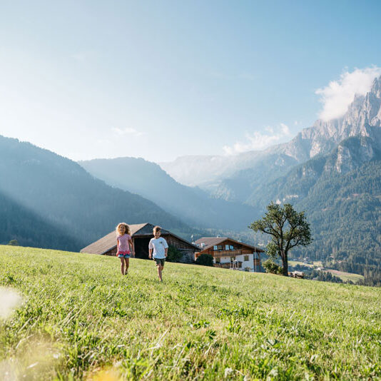 Roter_Hahn_Bauernhoefe.Bild.Roter_Hahn_benjamin_pfitscher.1 Roter Hahn Bauernhöfe - Südtirol Foto: Benjamin Pfitscher