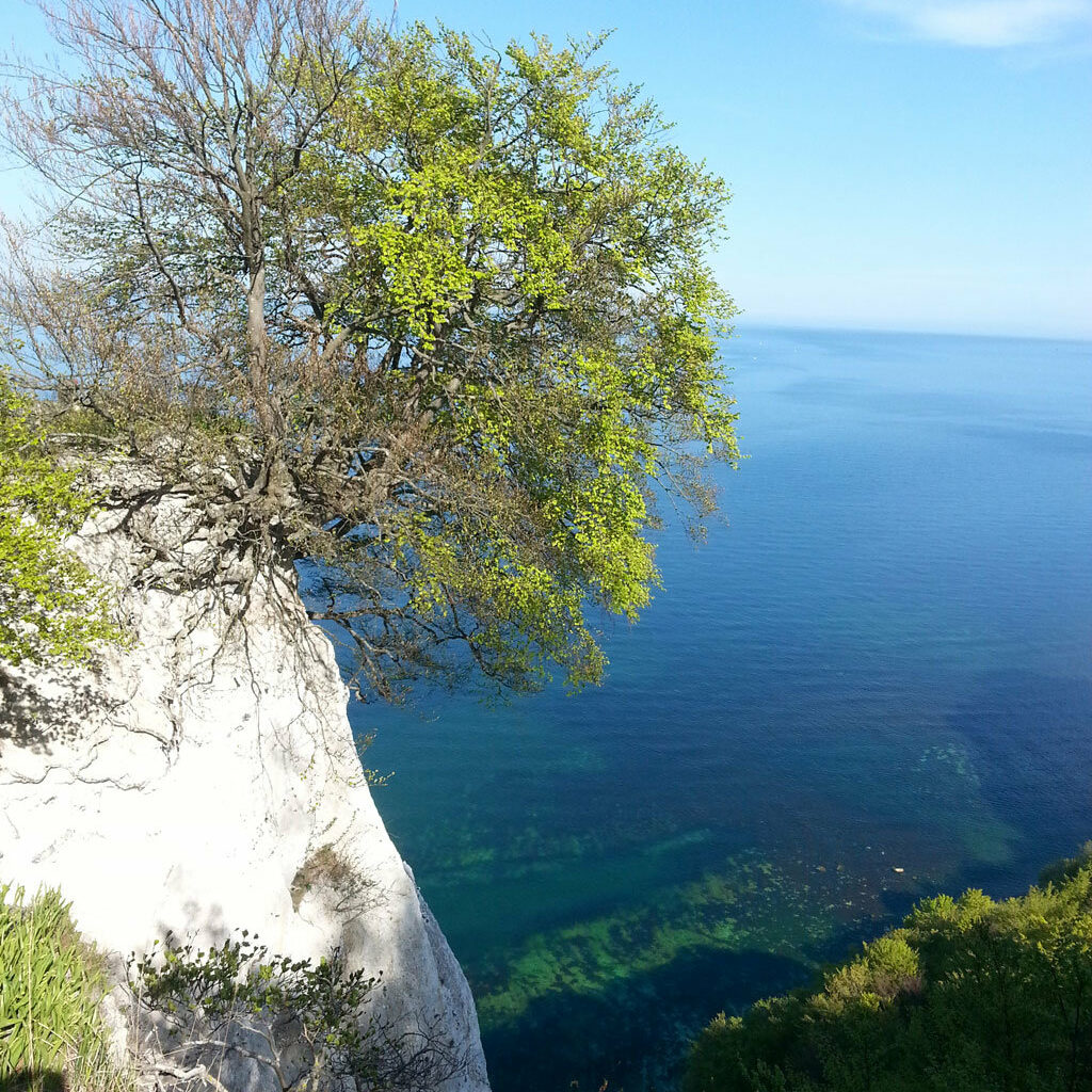 Rügen Kreidefelsen Rügen Kreidefelsen