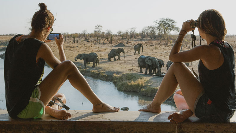 Safari_Elefanten.Bild.GettyImages-1193071070.quer Safari Elefanten am Wasserloch: Getty Images 1193071070.