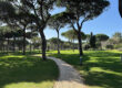 Sheraton Cascais - Gartenanlage Bild: Laura Geyer