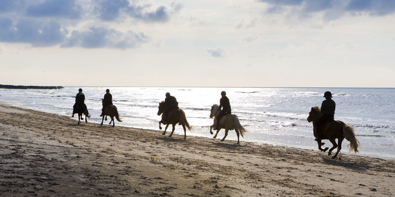 Skallerup_Seaside-REsort_Ausritt_Beach.@Skallerup_Seaside.quer
