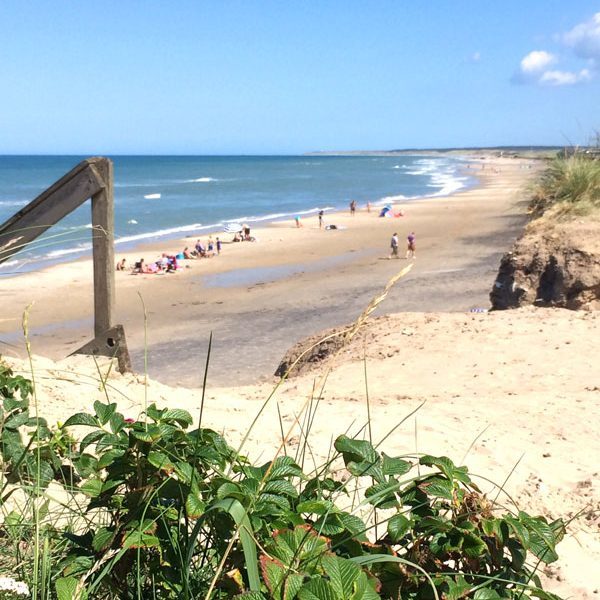 Skallerup_Seaside_Resort_Beach.Bild@Skallerup_Seaside.8 Skallerup_Seaside_Resort_Beach.Bild@Skallerup_Seaside.8