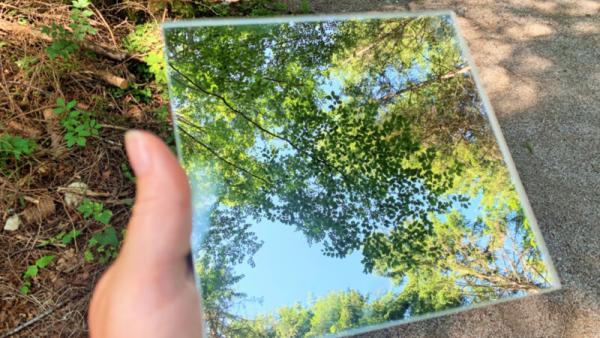 Wald im Spiegel- Waldbaden © Foto : Andrea Fischer