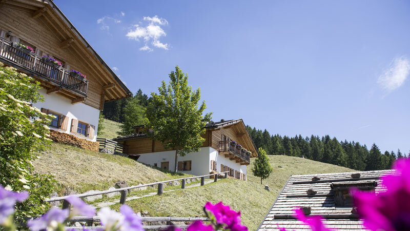Taser_Alm_©Familienhotel_Suedtirol.Bild.AlexFilz Taser Alm Aussenansicht - Familenhotels Südtirol