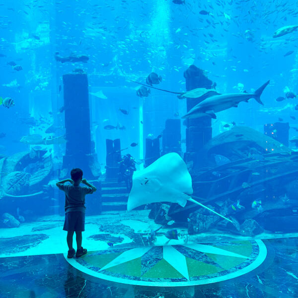 Unterwasserwelt--Ambassador-Lagoon Foto: © Andrea Fischer Trips4Kids.de