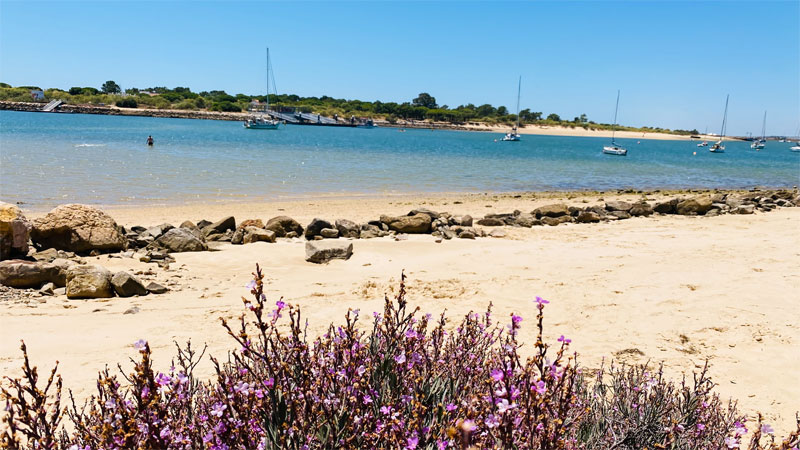 Vila Gale Albacora, Beach am Fluss Vila Gale Albacora, Beach am Fluss Foto: © Andrea Fischer, Trips4Kids.de